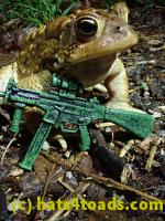 /home//u458753944/public_html/sourcegallery////////Roxborough Toad Detour/2021/2021-03-31/P3310141.JPG